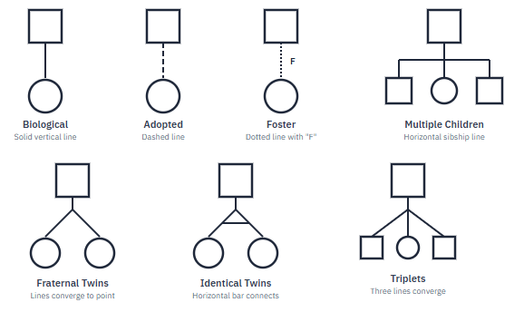 Parent-child connection symbols: solid vertical line for biological child, dotted line for adopted child, dotted line with F for foster child, converging lines for twins, connected lines with bar for identical twins
